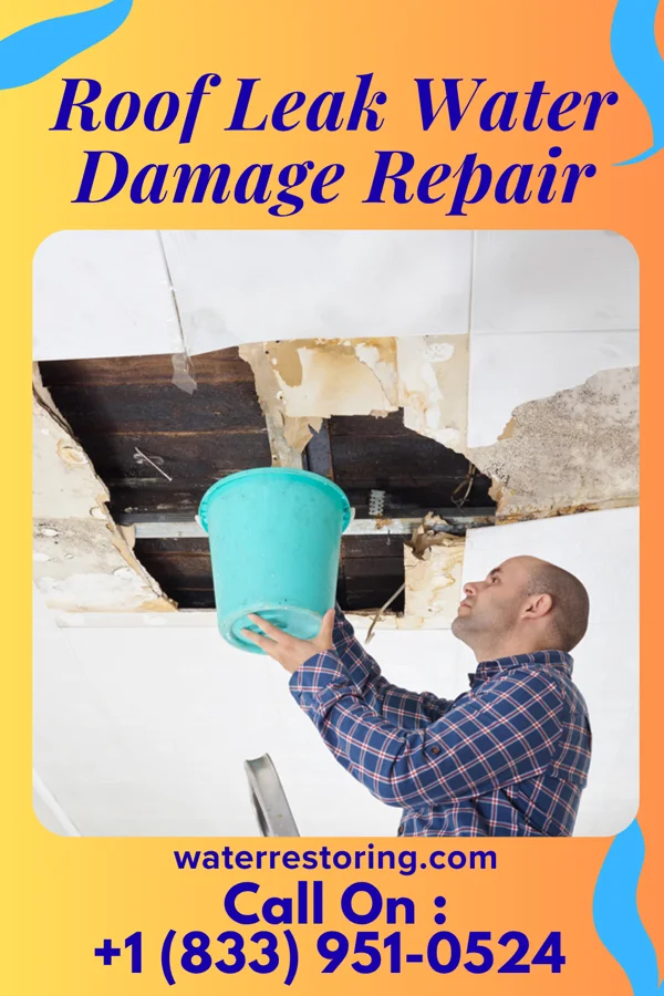 Roof Leak Water Damage Repair in Gun Barrel City, TX